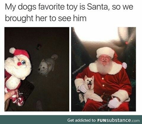 Dog see santa