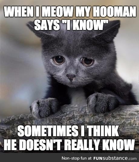 My hooman doesn't get me