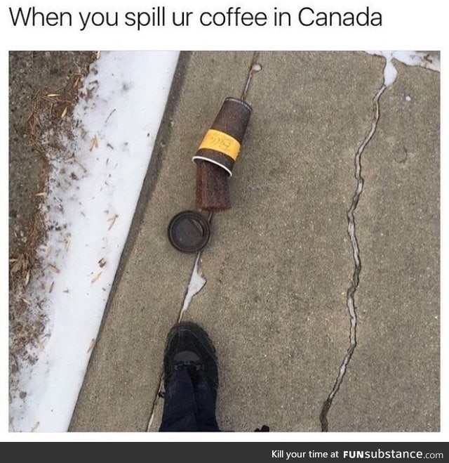 Can a Canadian pls confirm
