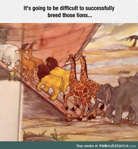 Noah's Ark Overlooked Problem