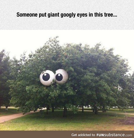 Googly tree