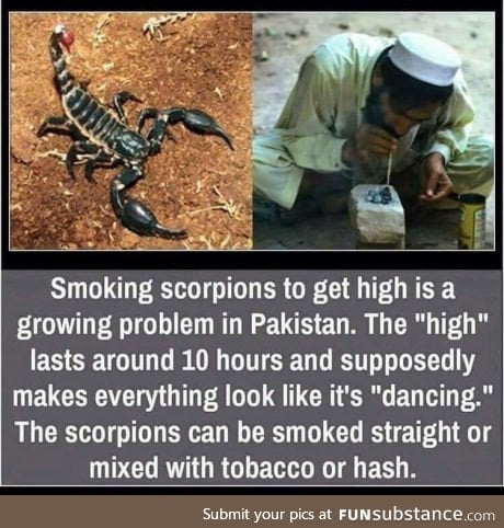 Smoking scorpions
