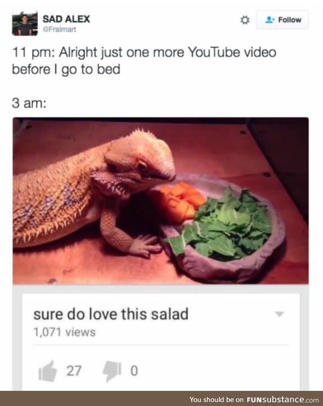 Salad