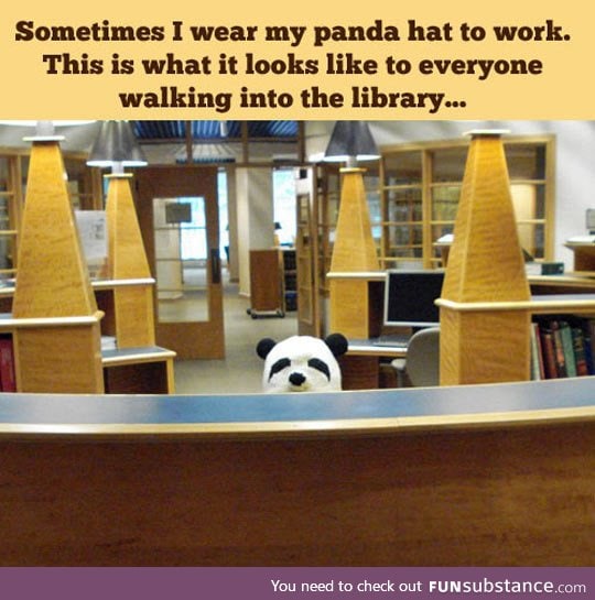 Panda hat