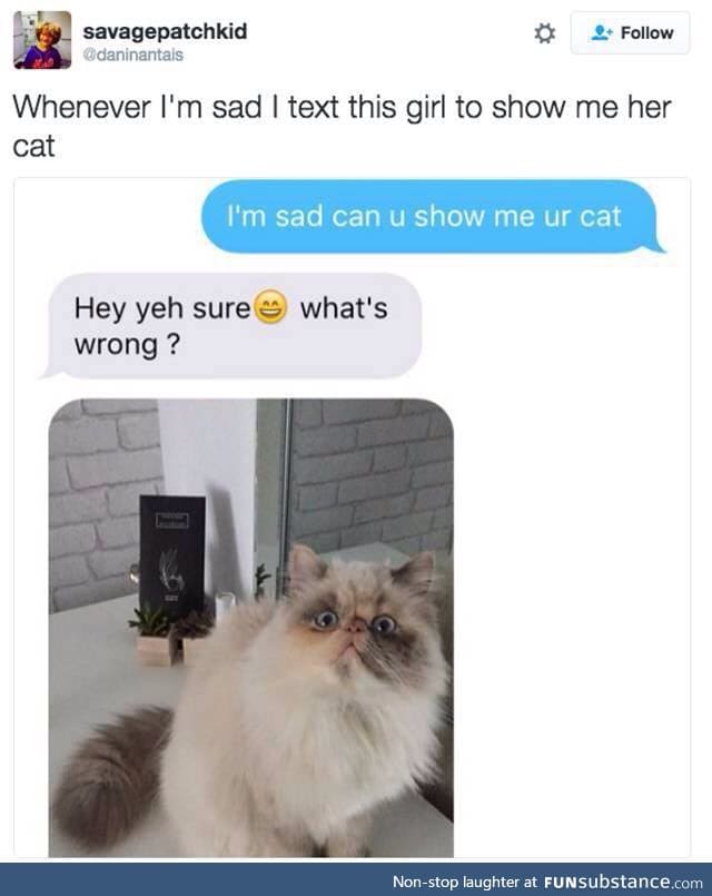 I want her cat