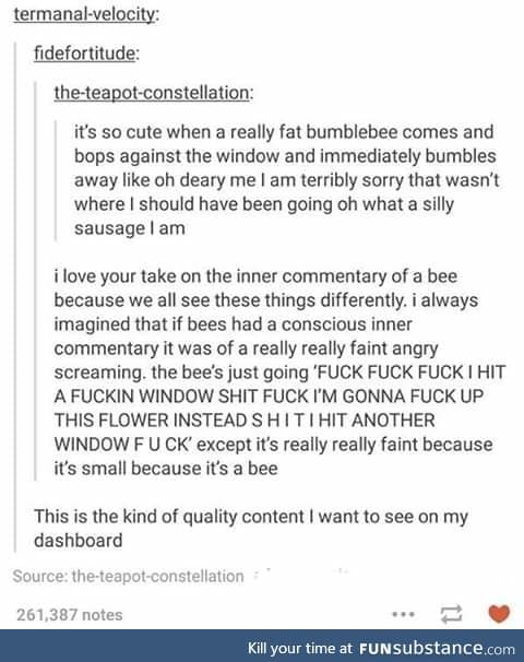 Fat bumblebees sound adorable