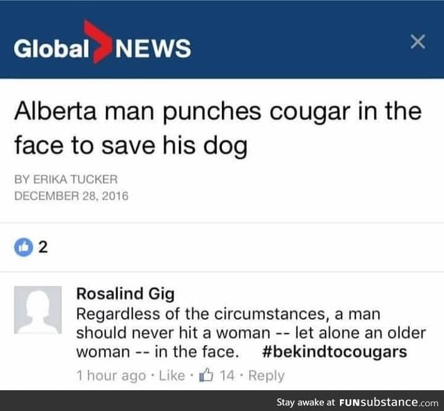 "Cougar"