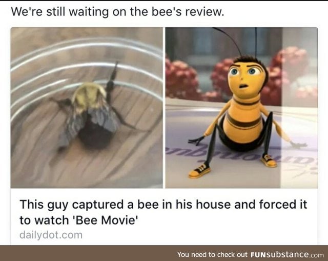 Buzz buzz