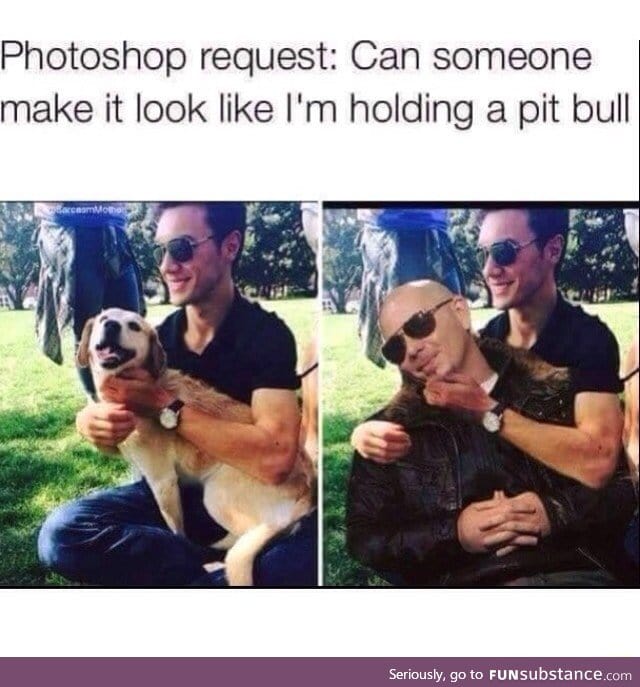 Holding a pittbull