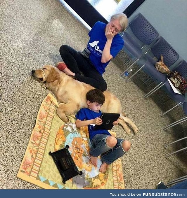 A mother is overwhelmed with emotion as her son with autism bonds with service dog
