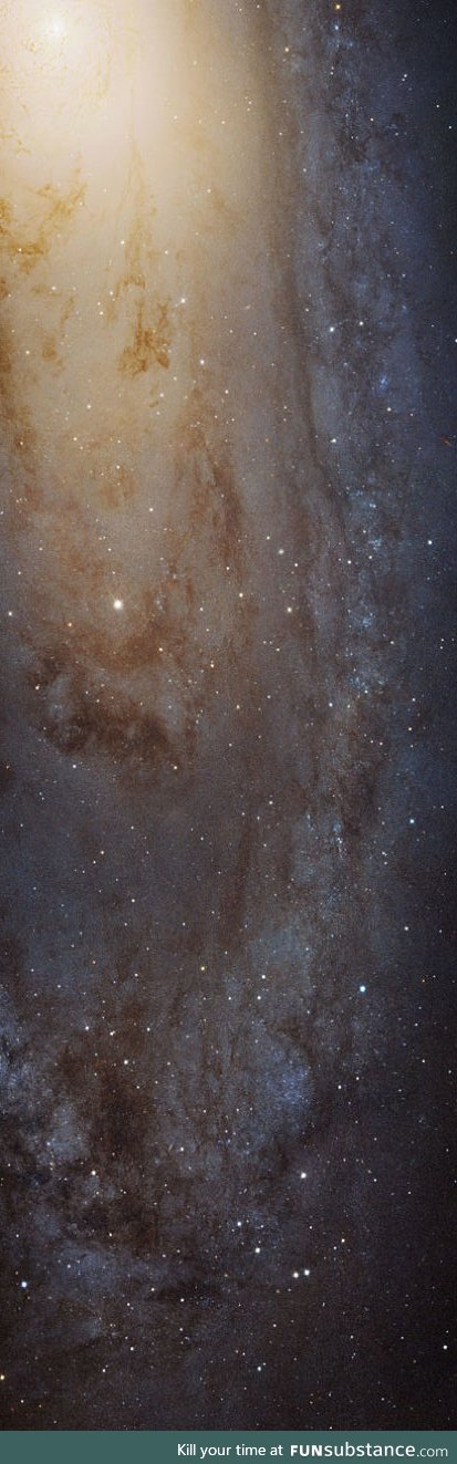 NASA released a huge image of the Andromeda Galaxy, link in comments