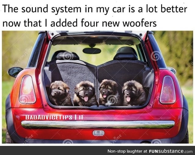 New woofers
