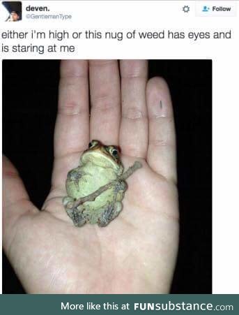 Please don't smoke the cutie frog