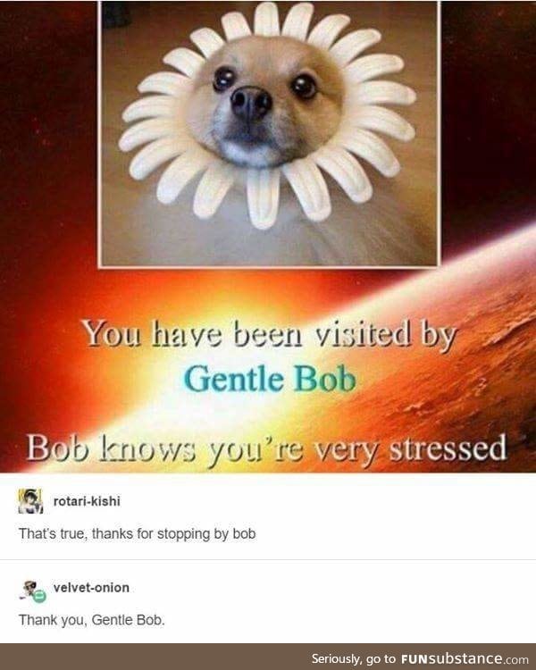 Gentle Bob cares about you, please be kind to yourself