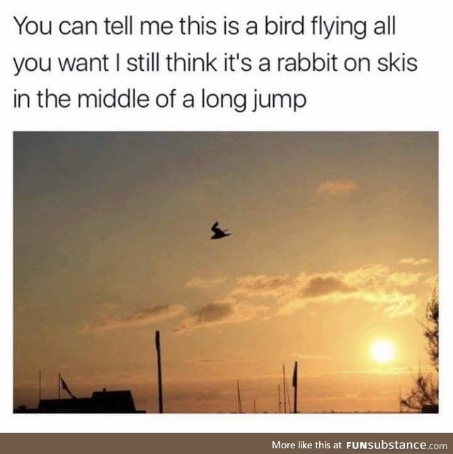 It's a bird, it's a plane, it's a.. wait?!