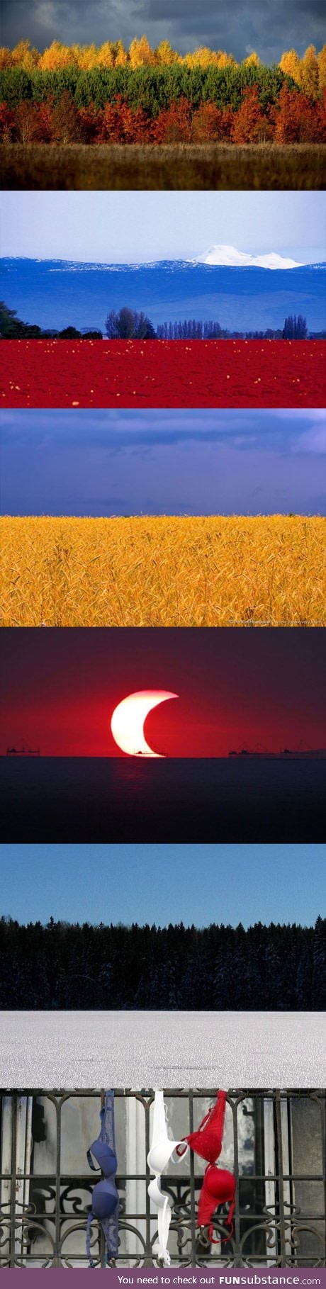 Country flags in their natural landscape