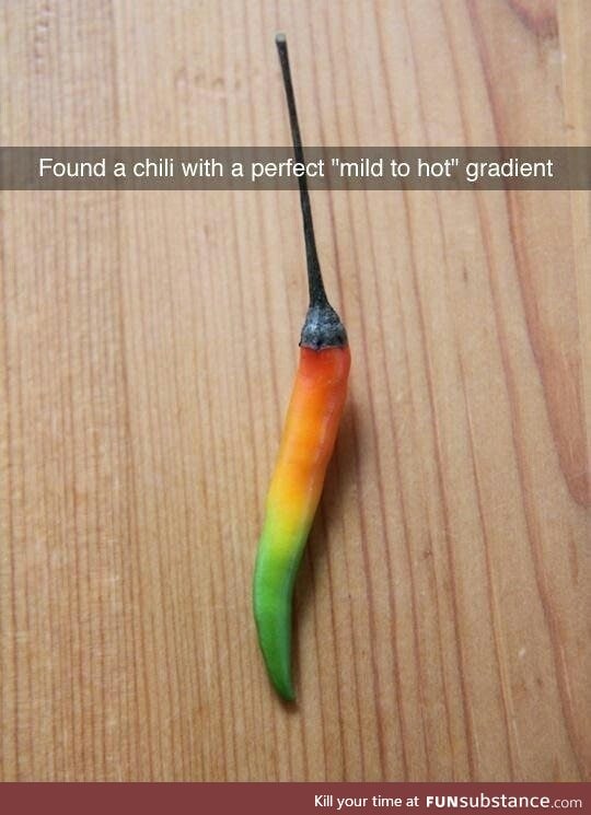 Chili gradient
