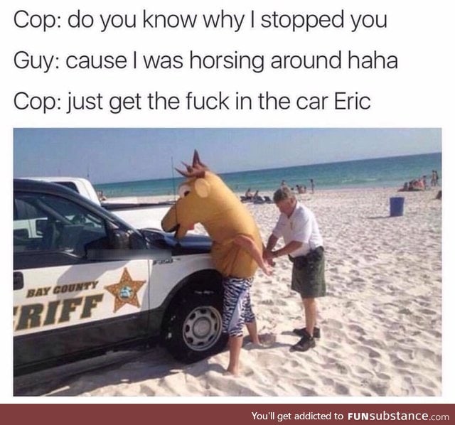 Horse arrested