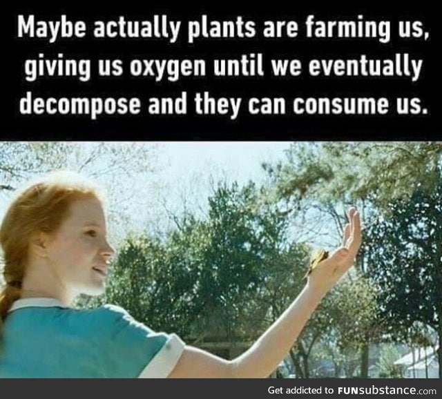 Plants mater plan