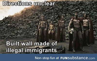 Illegal immigrant wall