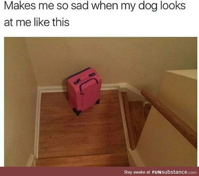 It's even worse when I come home smelling like other suitcases