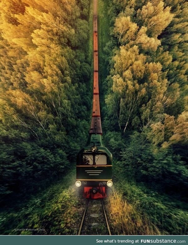Train ride through the woods