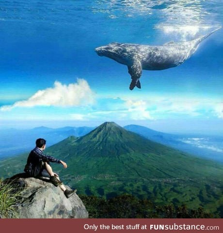 Look at this skywhale!