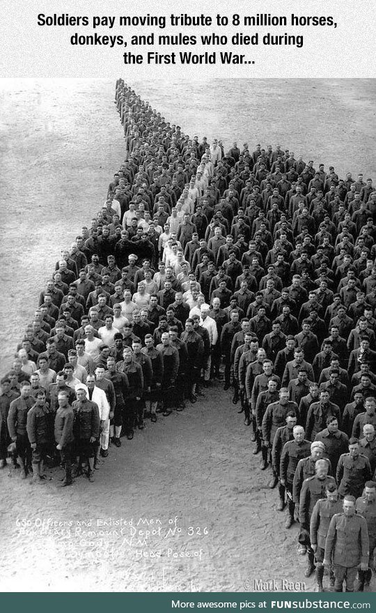 Soldiers paying tribute