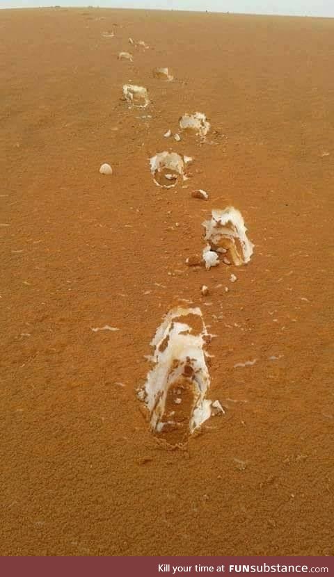 This photo taken in the Algerian Desert of sand covered snow looks like Tiramisu