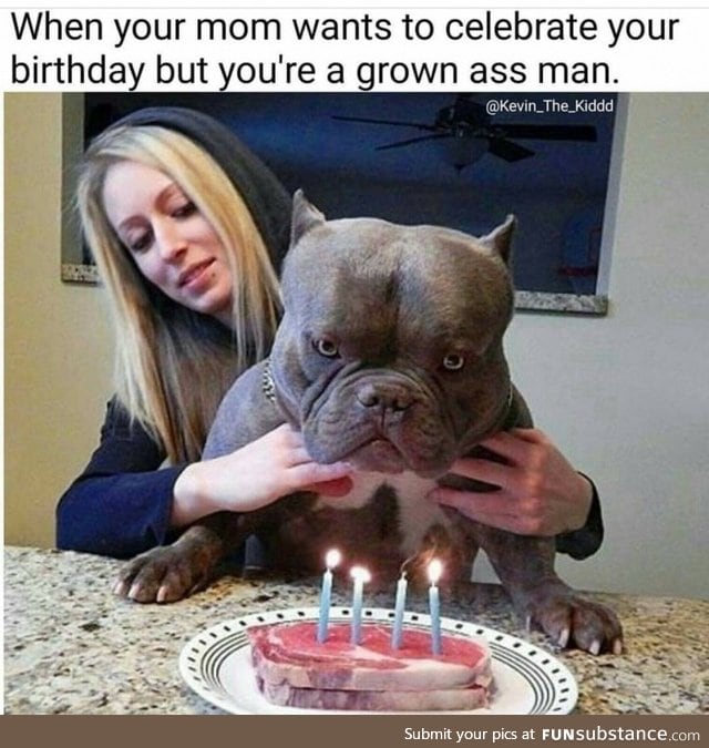 Doggo doesn't want a birthday