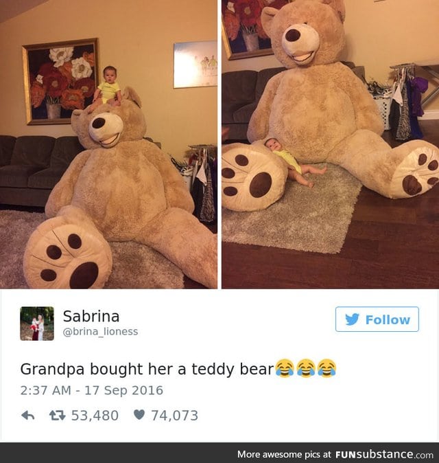 That's a massive teddy bear
