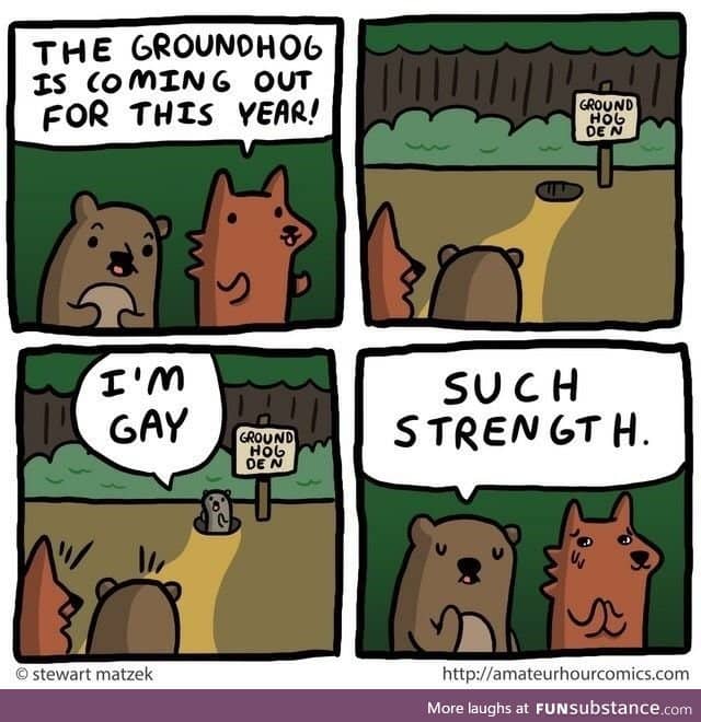 Groundhog comes out