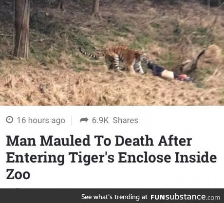 Roses are red. Panda's eat bamboo