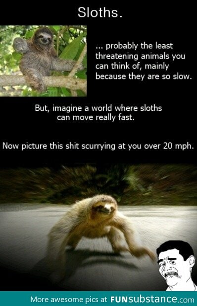 Fast moving sloth