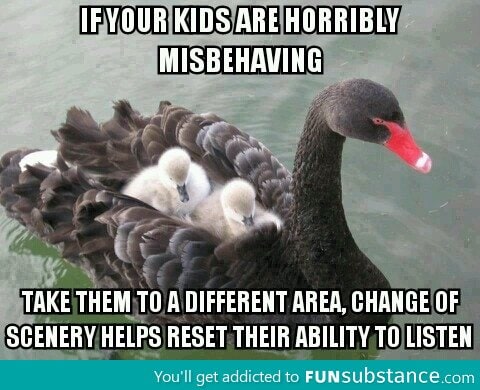 Good advice Mother Swan