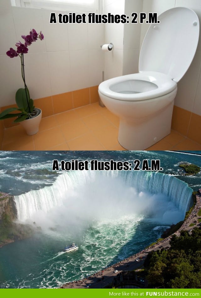 Niagara Falls Toilet