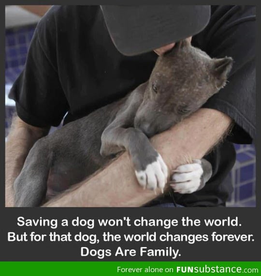 Dogs are family