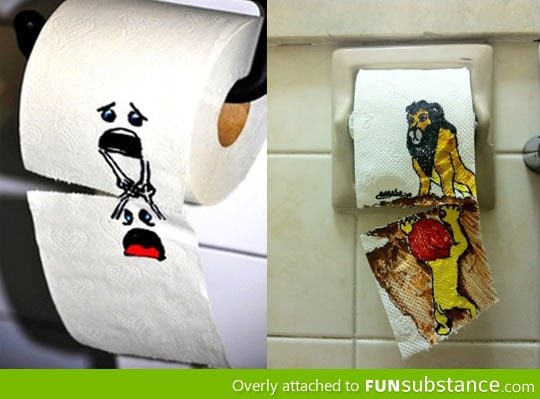 Toilet paper art