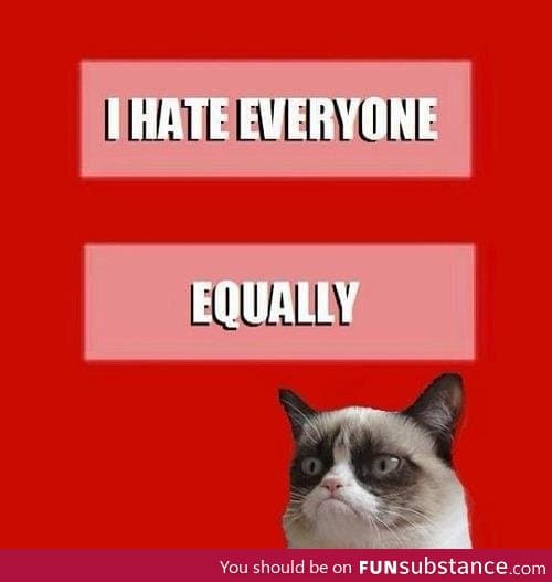 Grumpy Cat on Equality