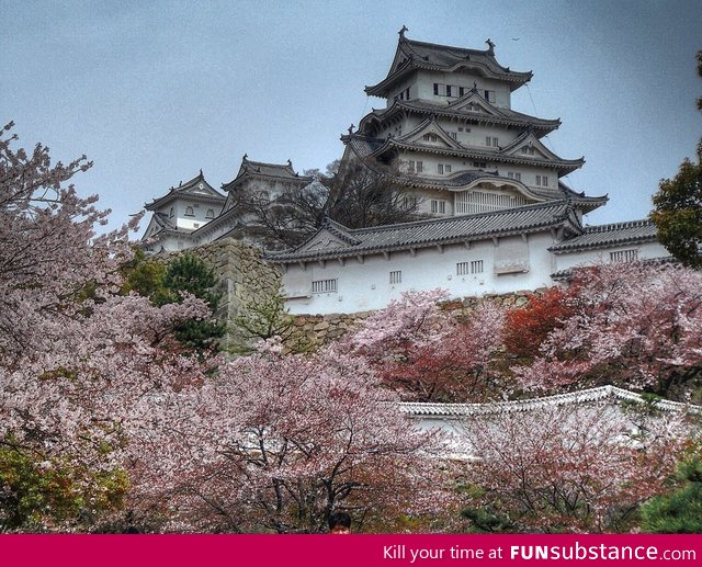 Imperial Palace in Tokyo