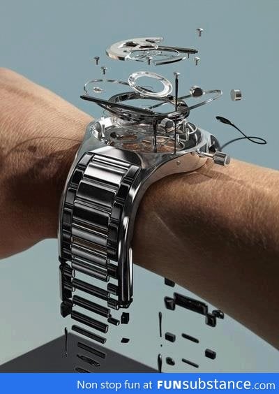 Explosion of a wrist watch