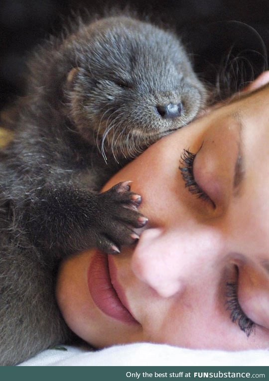 Her significant otter