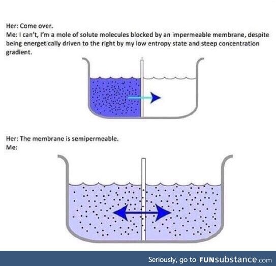 I go to an engineering school and here's a meme from it