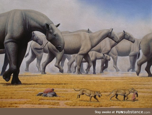 Paraceratherium: The largest land mammal ever