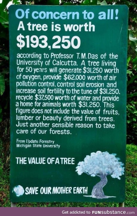 Value of a tree