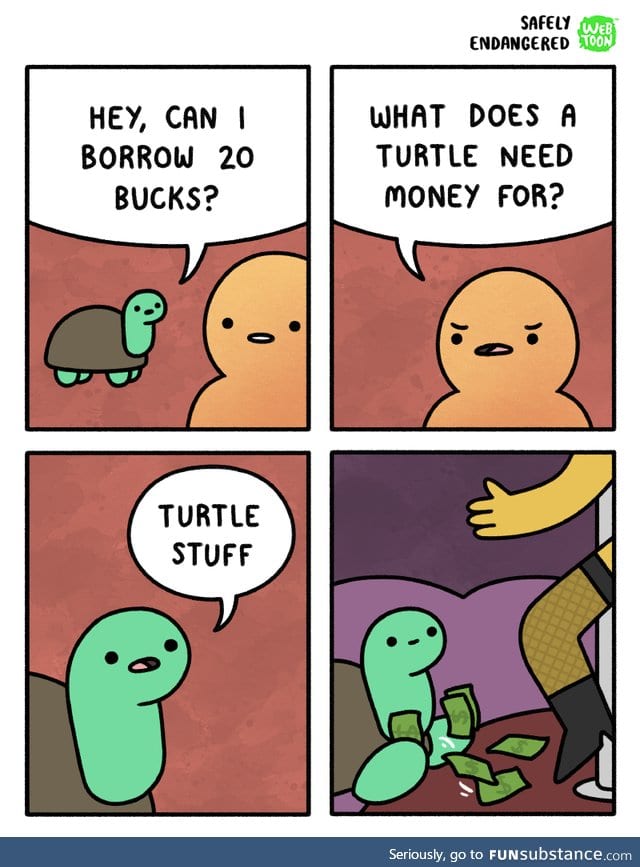 Turtle things