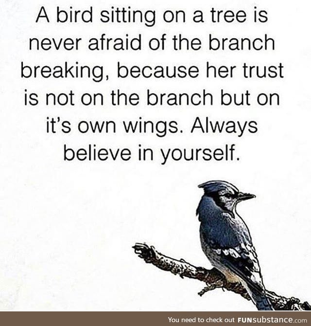 Wise Word from bird