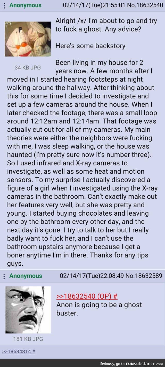Anon's a Ghostbuster