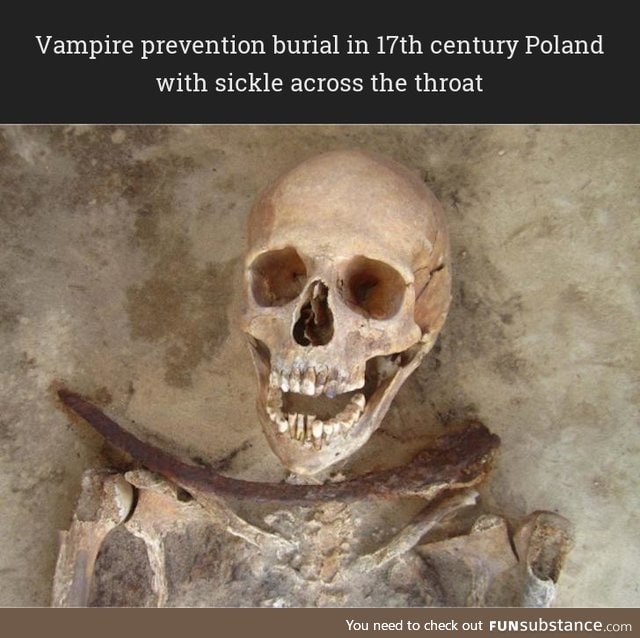 Vampire is the past