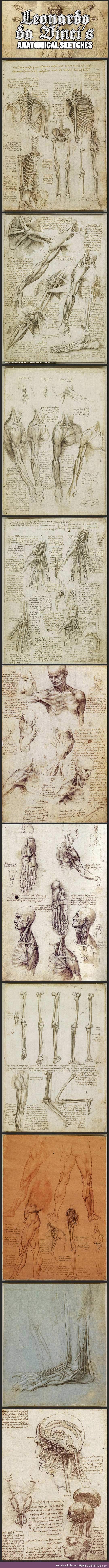 Leonardo Da Vinci's Original Anatomical Sketches